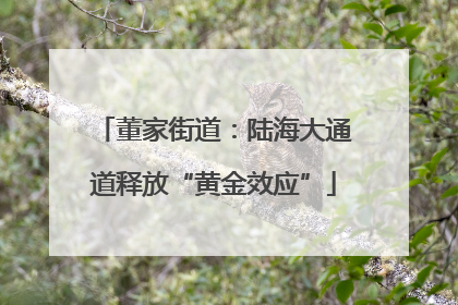 董家街道：陆海大通道释放“黄金效应”