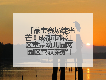 蒙宝赛场绽光芒！成都市锦江区童蒙幼儿园两园区喜获荣耀