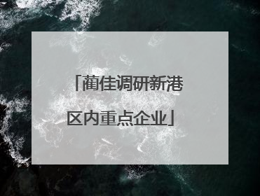 蔺佳调研新港区内重点企业