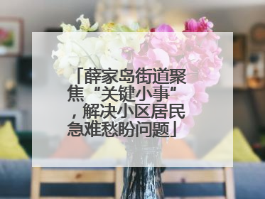 薛家岛街道聚焦“关键小事”，解决小区居民急难愁盼问题