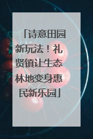 诗意田园新玩法！礼贤镇让生态林地变身惠民新乐园