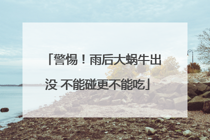 警惕！雨后大蜗牛出没 不能碰更不能吃