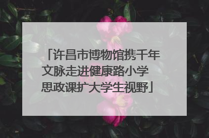 许昌市博物馆携千年文脉走进健康路小学 思政课扩大学生视野