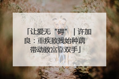 让爱无“碍”｜许加良：重疾致残始种藕 带动致富靠双手