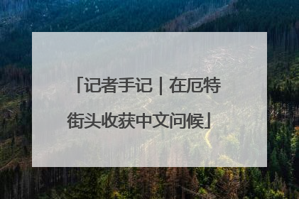 记者手记｜在厄特街头收获中文问候