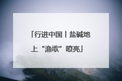 行进中国丨盐碱地上“渔歌”嘹亮