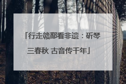 行走赣鄱看非遗：斫琴三春秋 古音传千年