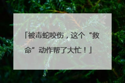 被毒蛇咬伤，这个“救命”动作帮了大忙！