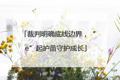 裁判明确底线边界，“e”起护苗守护成长