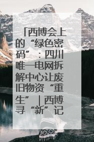 西博会上的“绿色密码”：四川唯一电网拆解中心让废旧物资“重生”｜西博寻“新”记