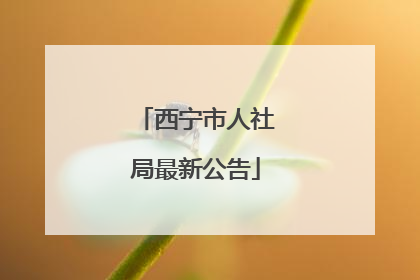 西宁市人社局最新公告