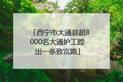 西宁市大通县超8000名大通护工蹚出一条致富路