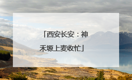 西安长安：神禾塬上麦收忙