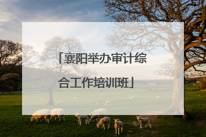 襄阳举办审计综合工作培训班