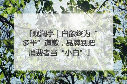 观澜亭｜白象终为“多半”道歉，品牌别把消费者当“小白”