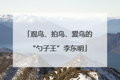 观鸟、拍鸟、爱鸟的“勺子王”李东明