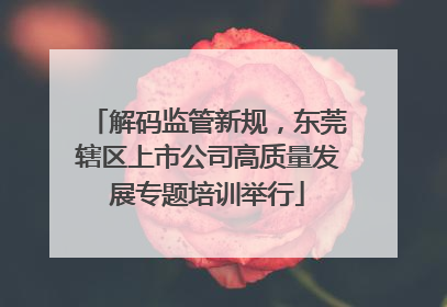 解码监管新规，东莞辖区上市公司高质量发展专题培训举行