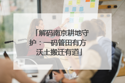 解码南京耕地守护：一码管田有方 沃土搬迁有道