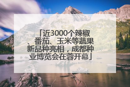 近3000个辣椒、番茄、玉米等蔬果新品种亮相，成都种业博览会在蓉开幕