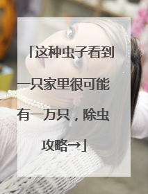这种虫子看到一只家里很可能有一万只，除虫攻略→