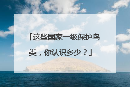 这些国家一级保护鸟类，你认识多少？