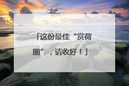 这份最佳“赏荷图”，请收好！