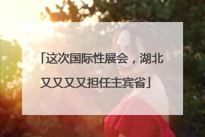 这次国际性展会，湖北又又又又担任主宾省