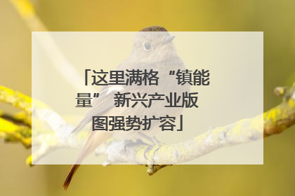 这里满格“镇能量” 新兴产业版图强势扩容