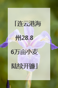 连云港海州28.86万亩小麦陆续开镰