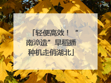 轻便高效！“南漳造”旱稻播种机走俏湖北
