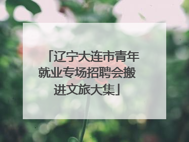 辽宁大连市青年就业专场招聘会搬进文旅大集