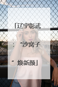 辽宁彰武：“沙窝子”焕新颜