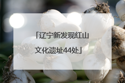辽宁新发现红山文化遗址44处