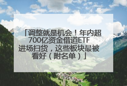 调整就是机会！年内超700亿资金借道ETF进场扫货，这些板块最被看好（附名单）