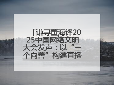 谦寻董海锋2025中国网络文明大会发声：以“三个向善”构建直播电商善意长河