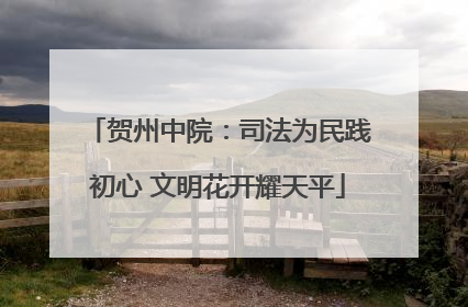 贺州中院：司法为民践初心 文明花开耀天平