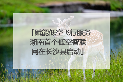 赋能低空飞行服务 湖南首个低空智联网在长沙县启动