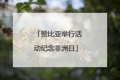 赞比亚举行活动纪念非洲日