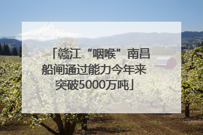 赣江“咽喉”南昌船闸通过能力今年来突破5000万吨