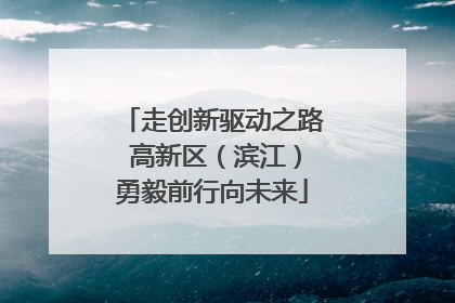 走创新驱动之路 高新区（滨江）勇毅前行向未来