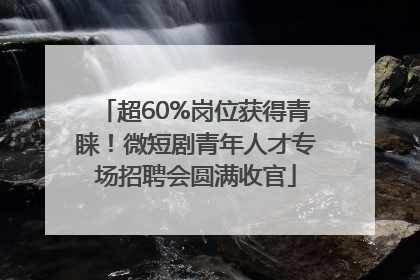 超60%岗位获得青睐！微短剧青年人才专场招聘会圆满收官