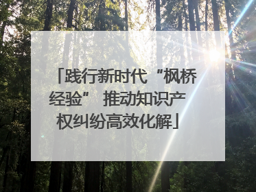 践行新时代“枫桥经验” 推动知识产权纠纷高效化解
