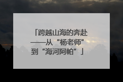跨越山海的奔赴——从“杨老师”到“海河阿帕”