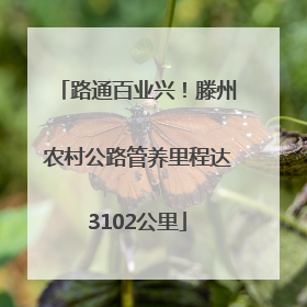 路通百业兴！滕州农村公路管养里程达3102公里