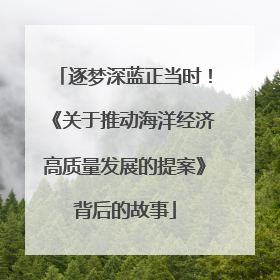 逐梦深蓝正当时！《关于推动海洋经济高质量发展的提案》背后的故事