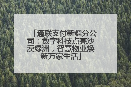 通联支付新疆分公司：数字科技点亮沙漠绿洲，智慧物业焕新万家生活