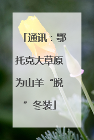 通讯：鄂托克大草原为山羊“脱”冬装