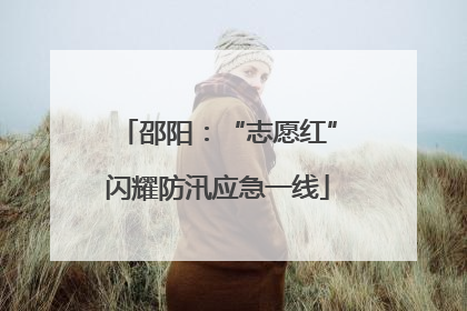 邵阳：“志愿红”闪耀防汛应急一线
