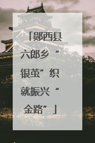 郧西县六郎乡“银茧”织就振兴“金路”