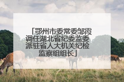 鄂州市委常委邹霞调任湖北省纪委监委派驻省人大机关纪检监察组组长